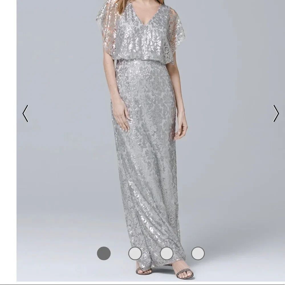 Adrianna Papell Silver Sequin Gown plus size 14